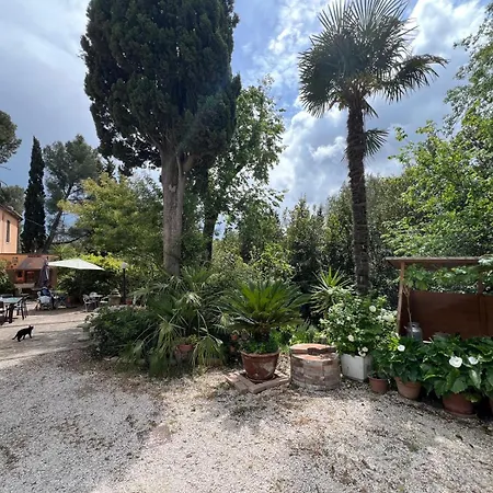 Il Podere Degli Ulivi Santa Veneranda Exterior foto