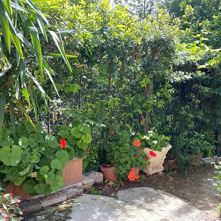 Il Podere Degli Ulivi Santa Veneranda Exterior foto