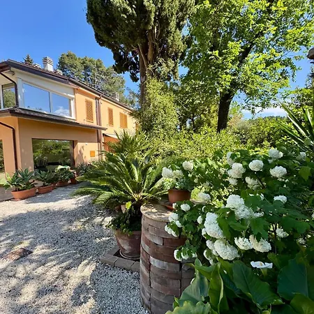 Il Podere Degli Ulivi Santa Veneranda Exterior photo