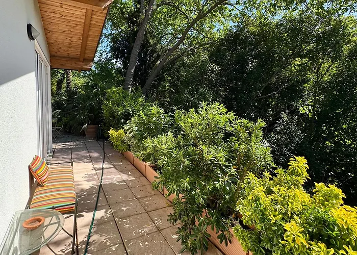 Il Podere Degli Ulivi