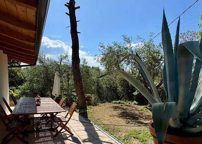 Il Podere Degli Ulivi