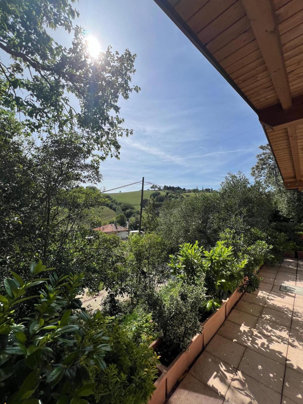 Il Podere Degli Ulivi Holiday home