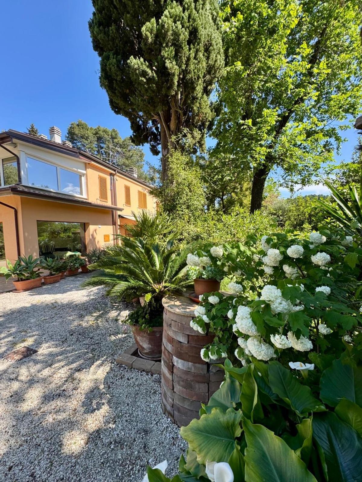 Holiday home Il Podere Degli Ulivi