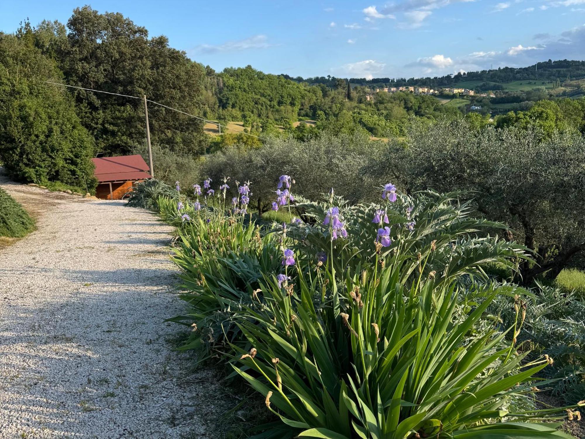 Il Podere Degli Ulivi Santa Veneranda